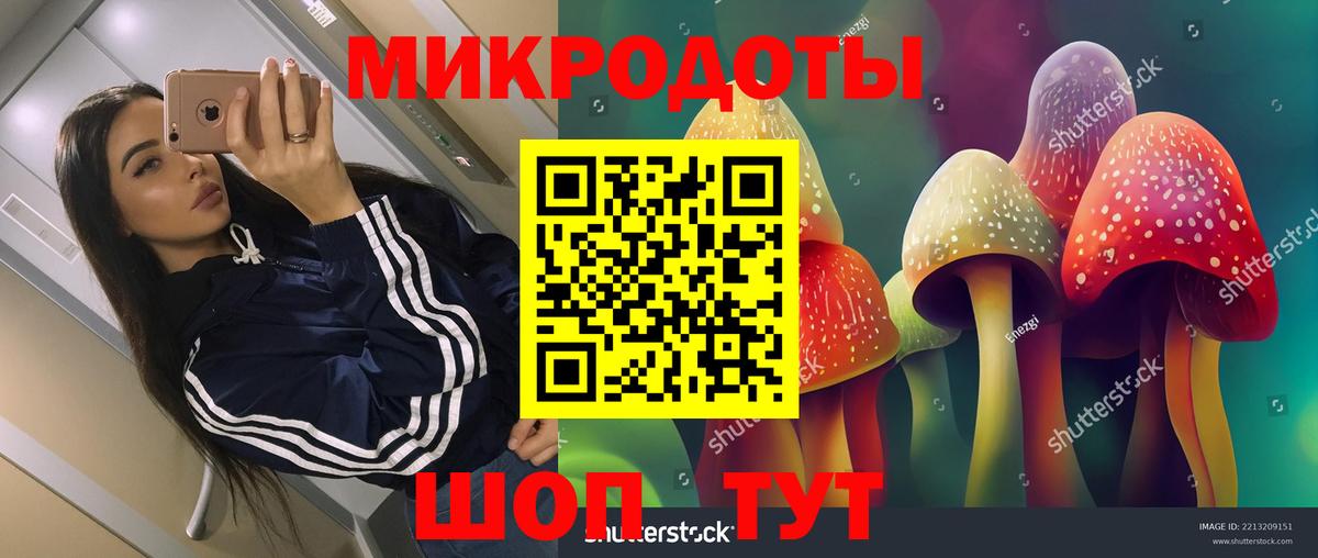 Галлюциногенные грибы GOLDEN TEACHER Йошкар-Ола