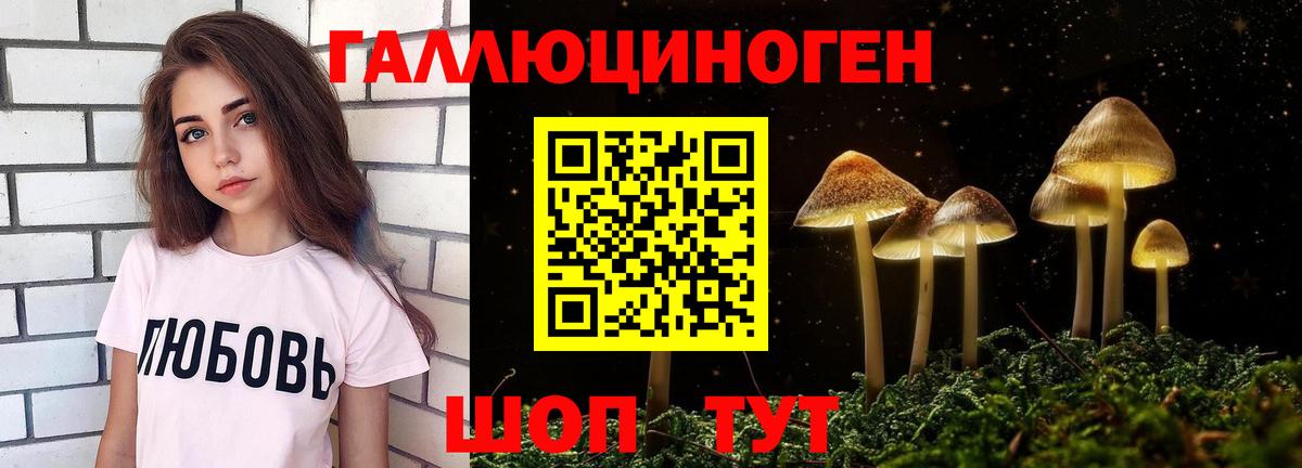Галлюциногенные грибы MAGIC MUSHROOMS  Псилоцибиновые грибы Magic Shrooms  Вход с VPN  Йошкар-Ола 